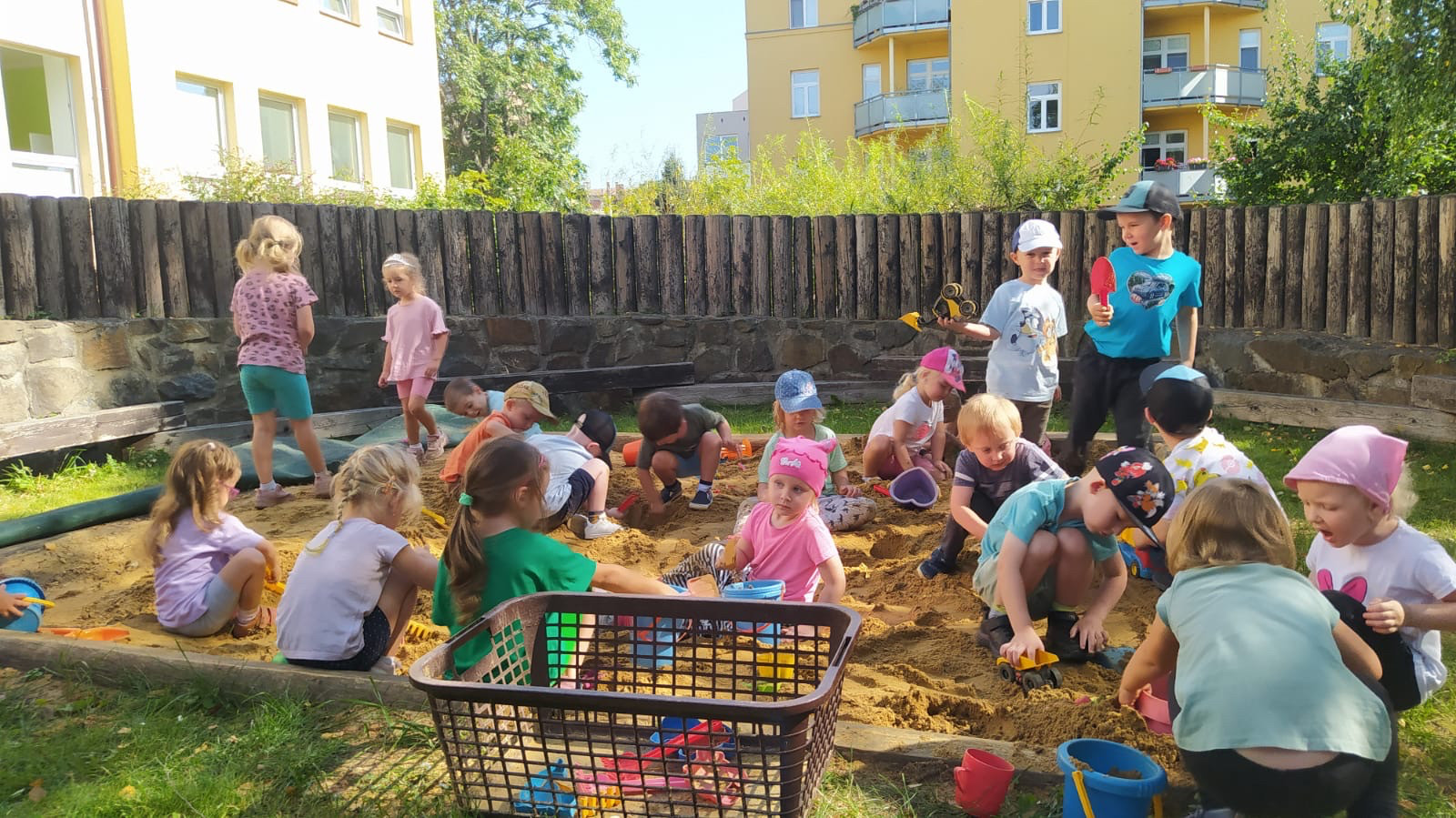 fotografie - 2025-09-26T134008.900.jpg