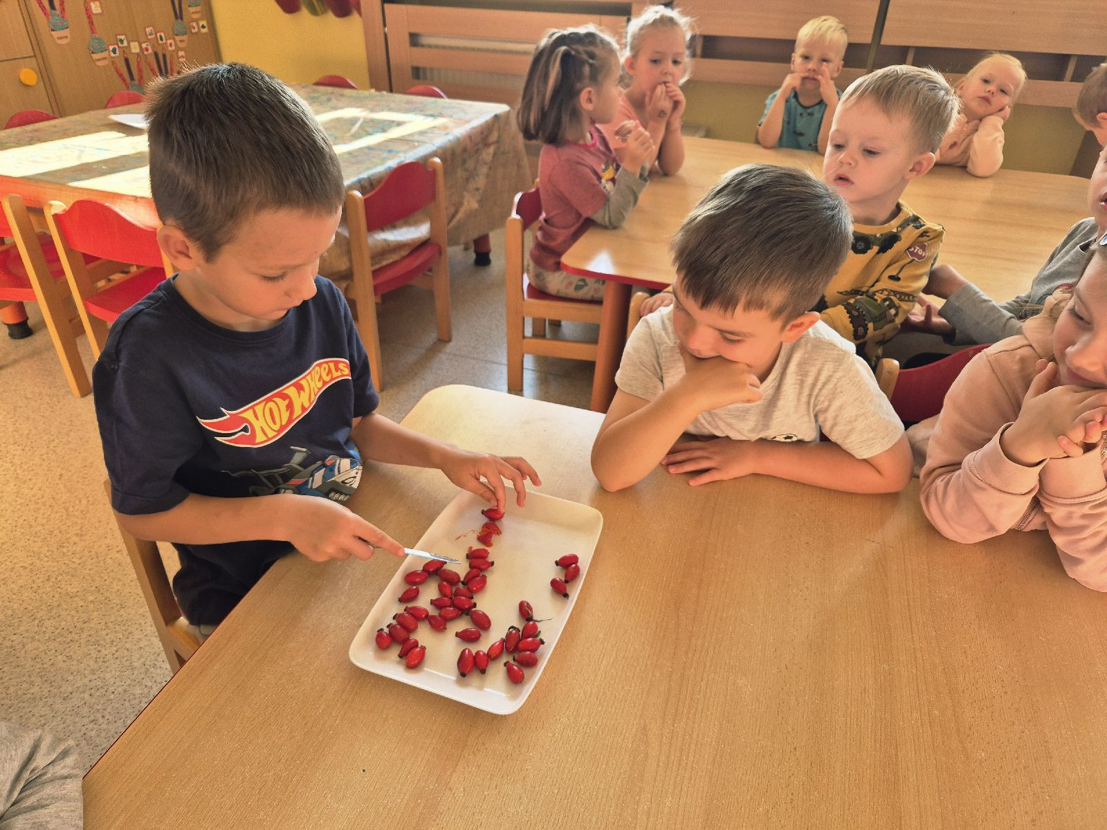 fotografie - 2025-10-16T133516.336.jpg