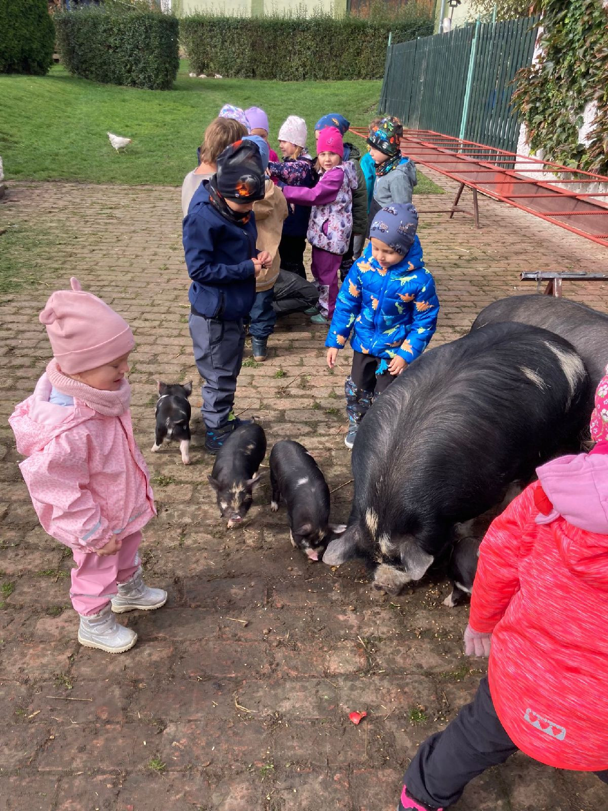 fotografie - 2025-10-16T133857.023.jpg