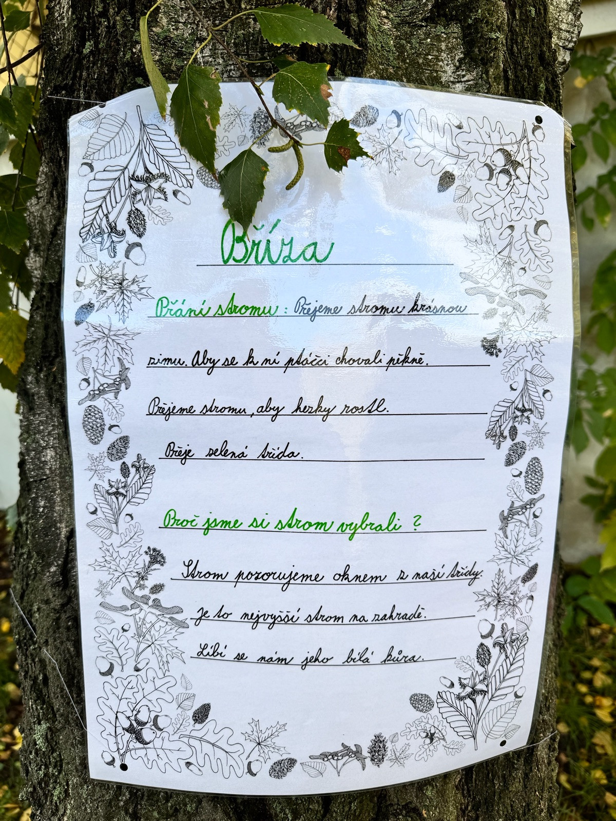 fotografie - 2025-10-17T125341.725.jpg