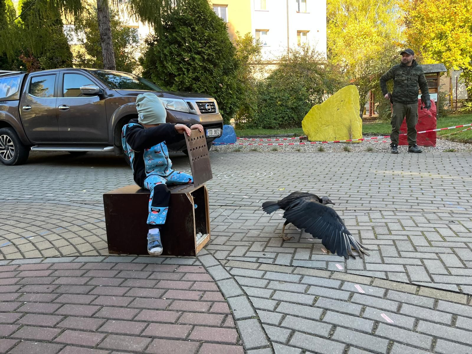 fotografie - 2025-10-31T124721.622.jpg