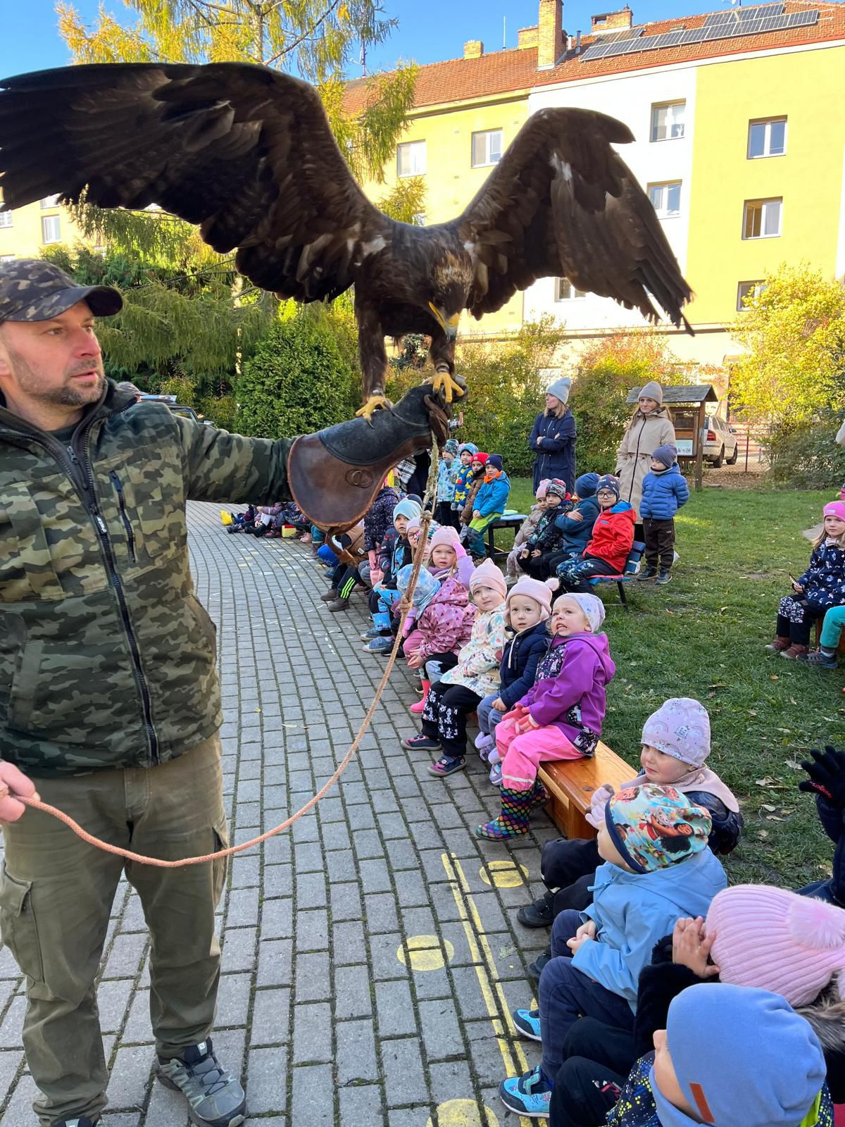 fotografie - 2025-11-02T133729.600.jpg