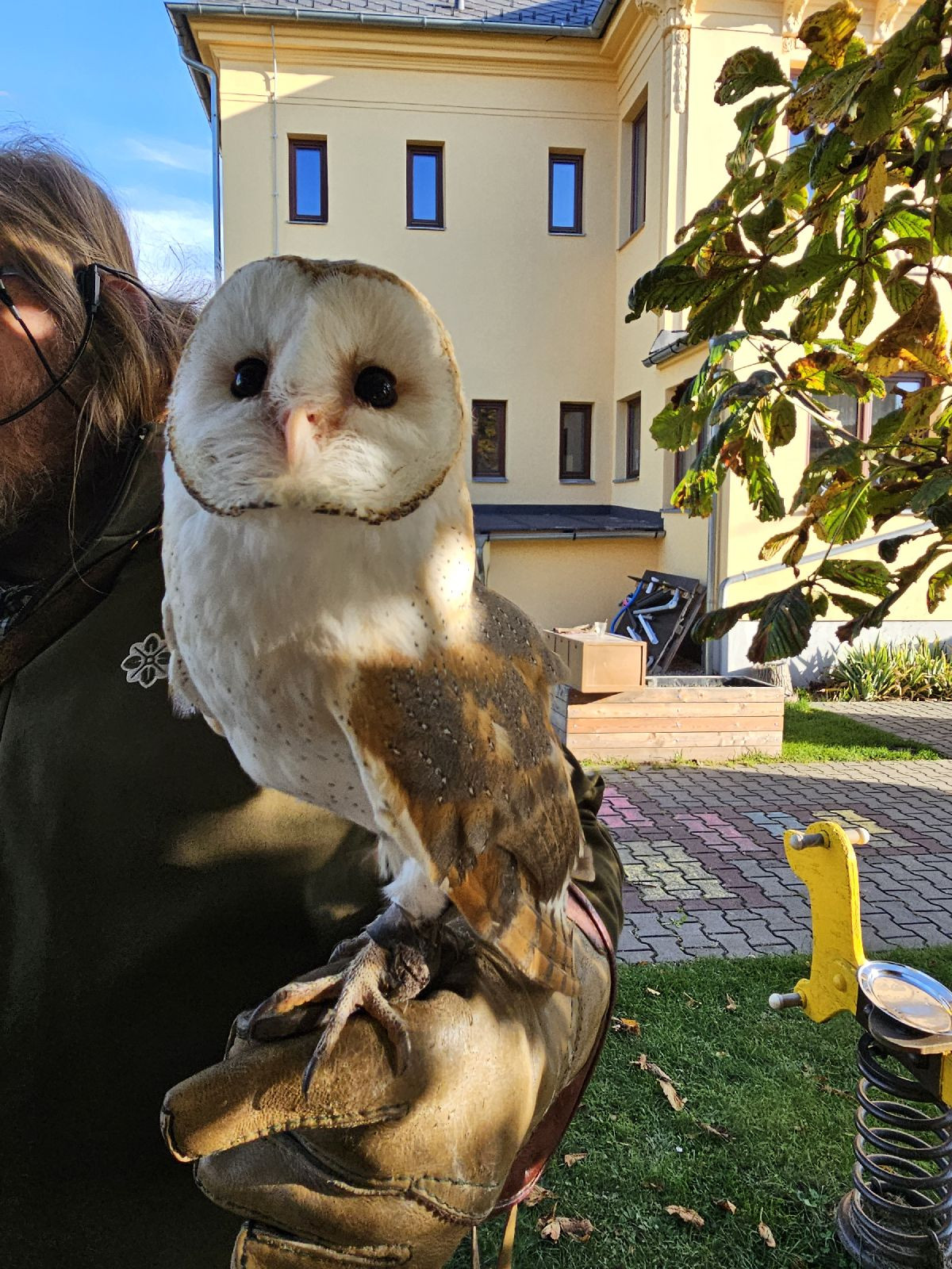 fotografie - 2025-11-03T074348.559.jpg