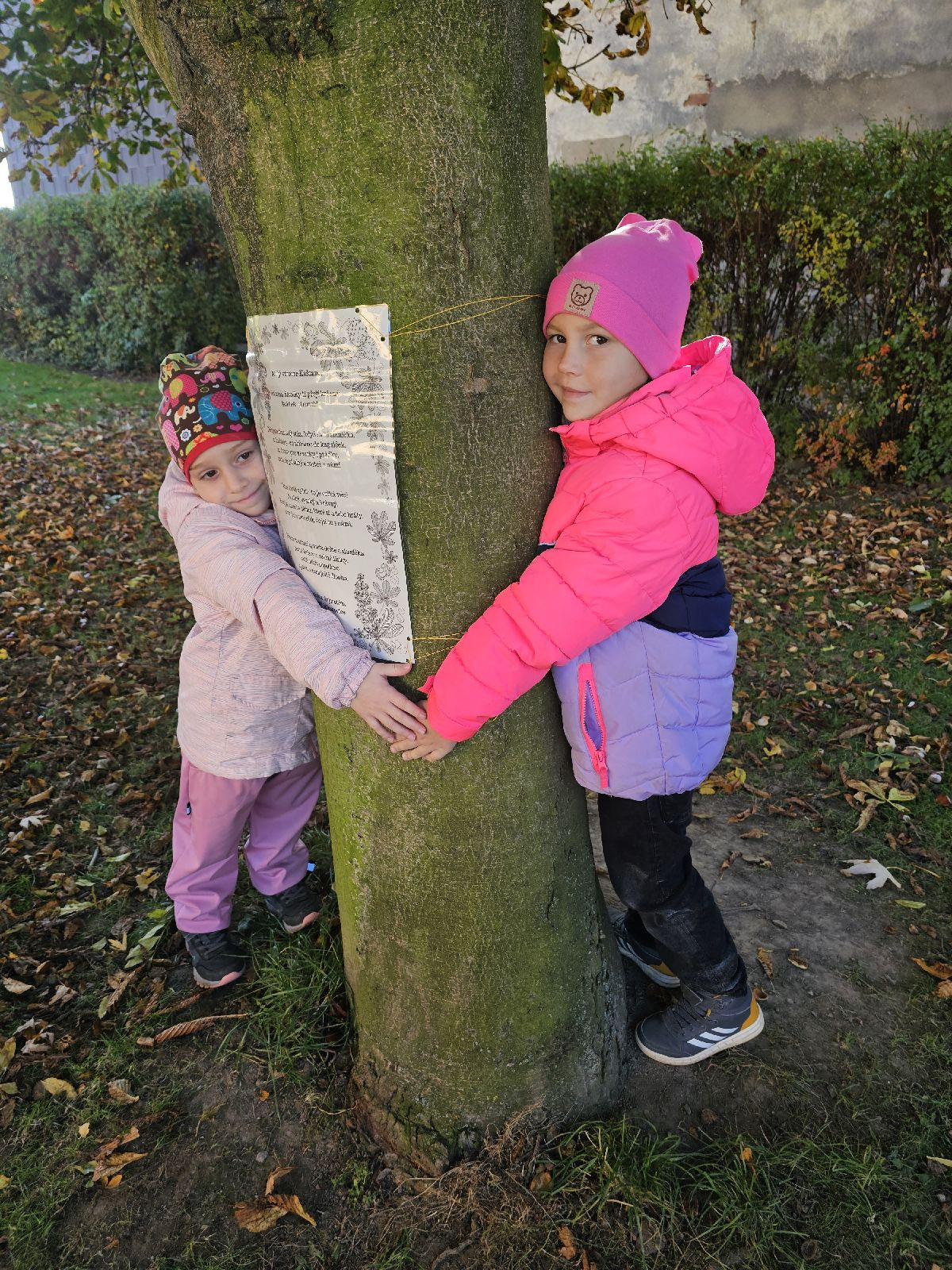 fotografie - 2025-11-03T074930.547.jpg