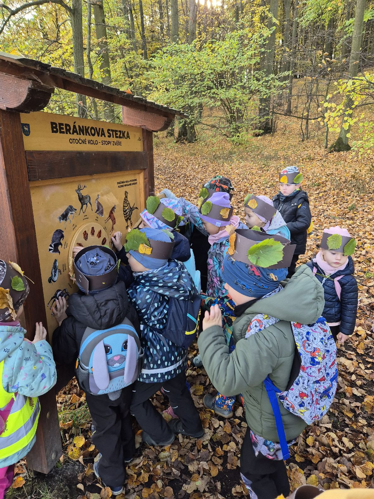 fotografie - 2025-11-04T124050.812.jpg