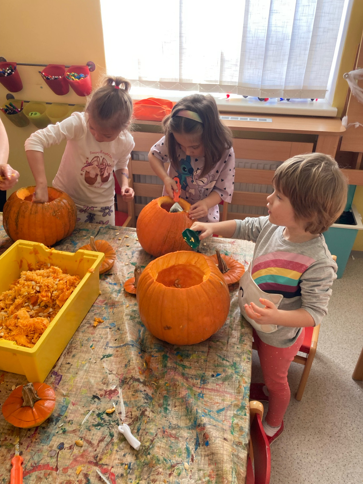 fotografie - 2025-11-04T125123.605.jpg