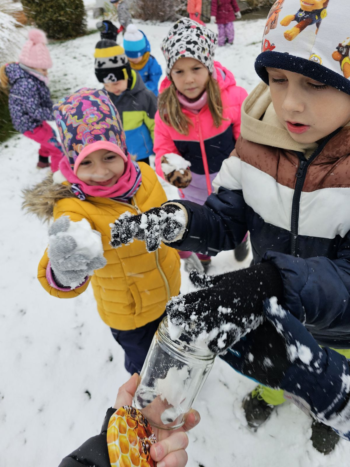 fotografie - 2025-11-27T131614.362.jpg