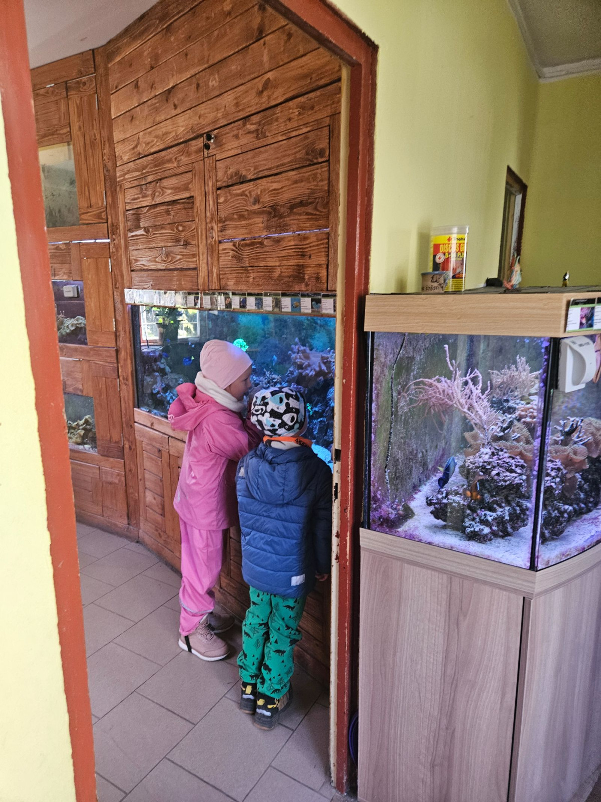 fotografie - 2025-11-27T133059.143.jpg