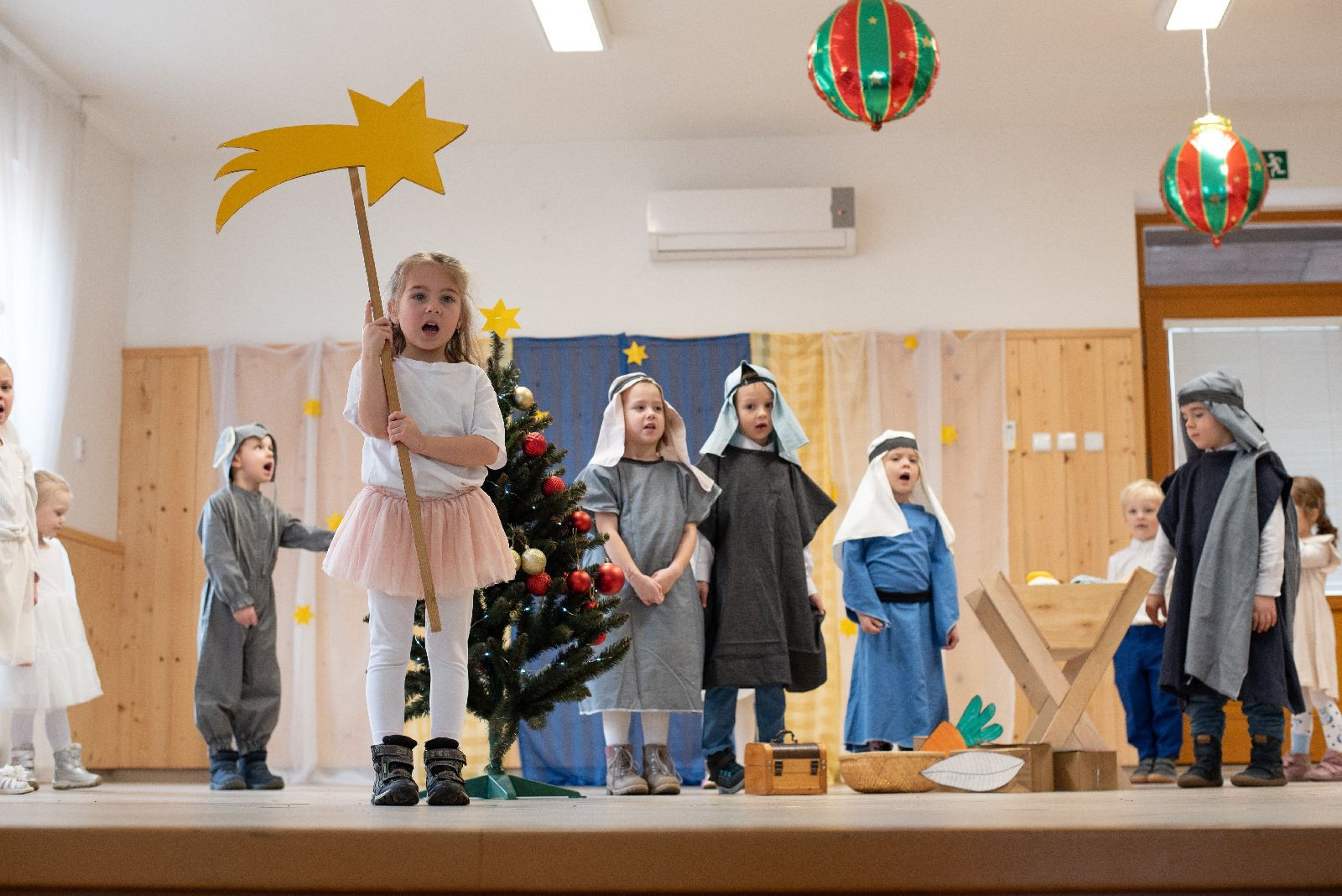 fotografie - 2026-01-30T085933.594.jpg