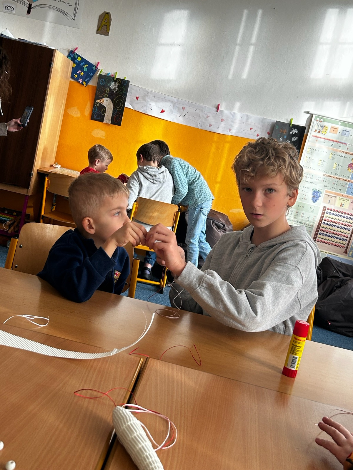 fotografie - 2026-01-30T093437.407.jpg