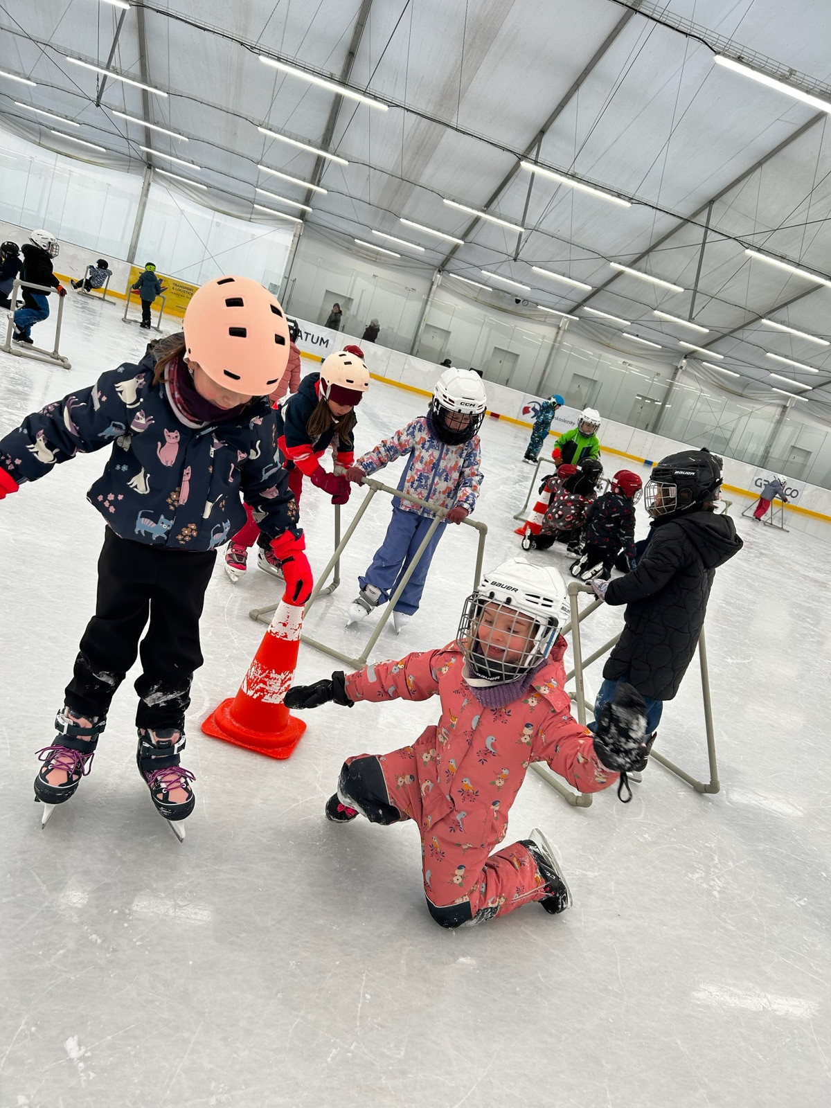 fotografie - 2026-01-30T093726.788.jpg